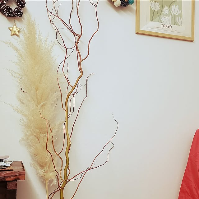 mamemaniaさんの実例写真