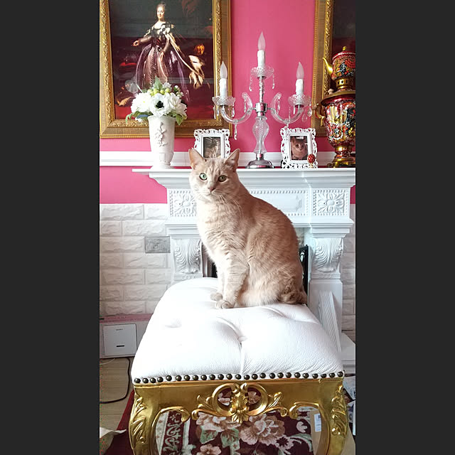 kaocaochinさんの実例写真