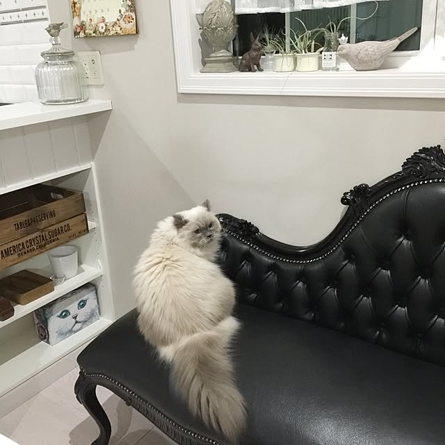 yuchiさんの実例写真