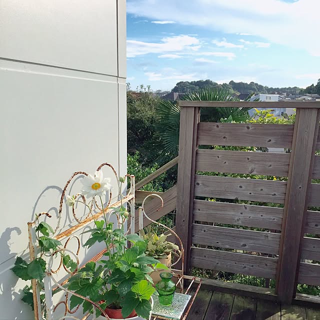 Rさんの実例写真