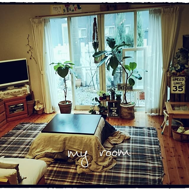 naoonさんの実例写真