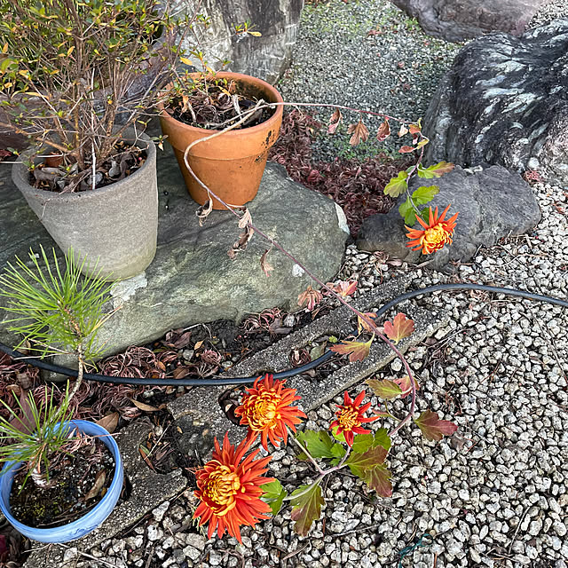 shin0719さんの部屋