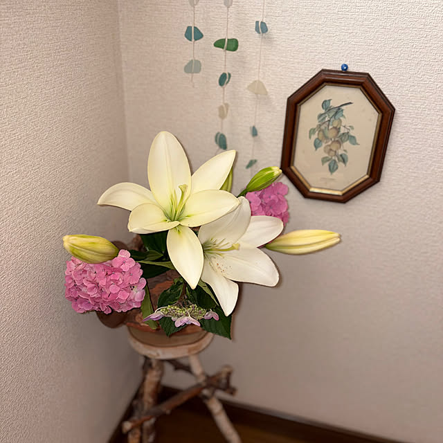 ritsukoさんの部屋