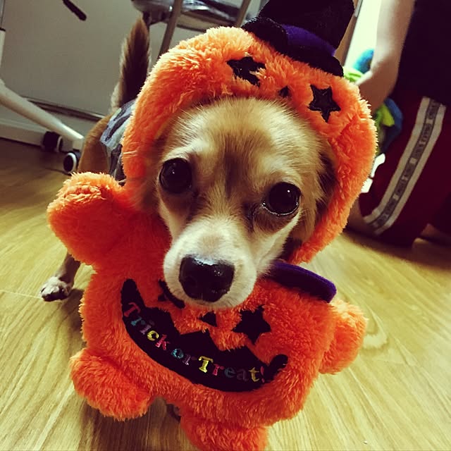 R.mamaさんの実例写真