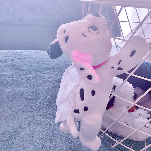 snoopyさんの部屋