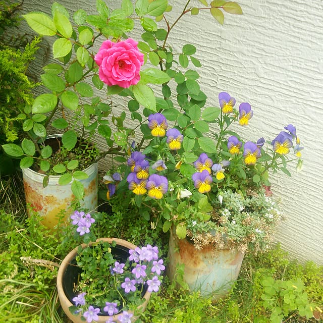 Marikoさんの実例写真