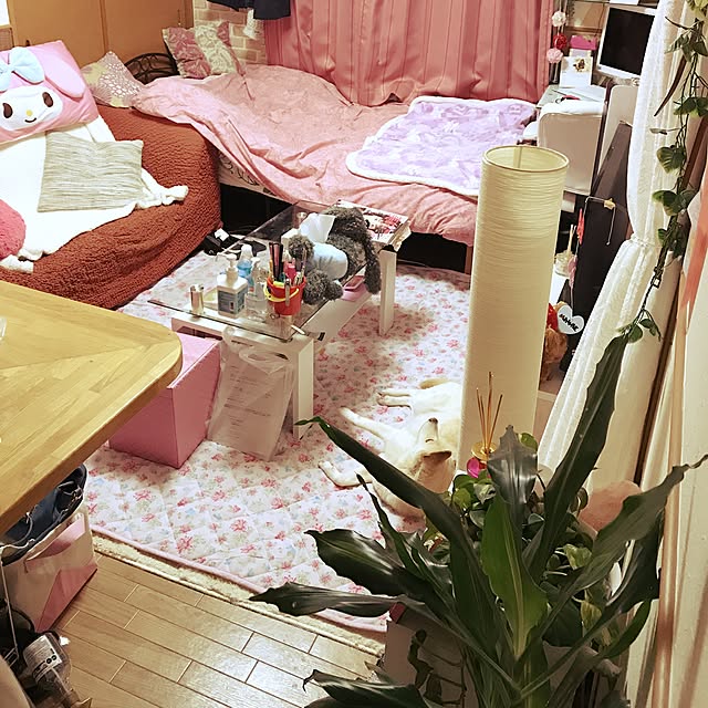 raaさんの実例写真