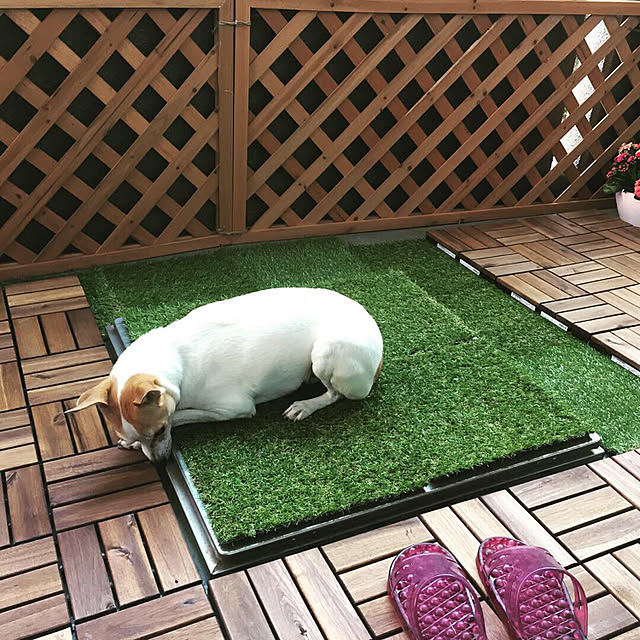 Hiromiさんの実例写真