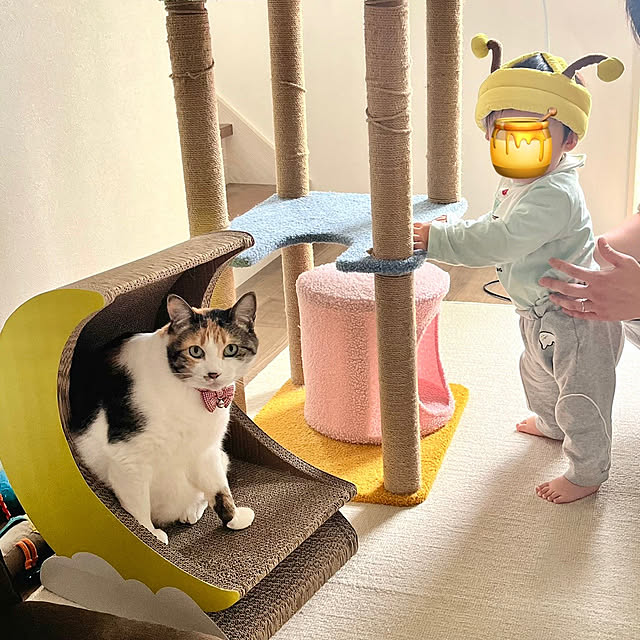Misakiさんの実例写真