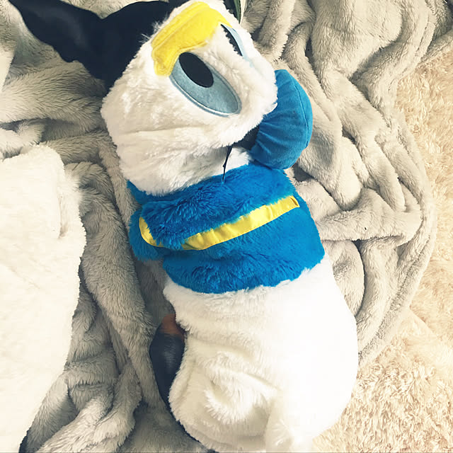 cocoさんの実例写真