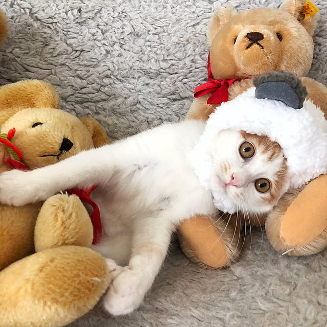 yuchiさんの実例写真