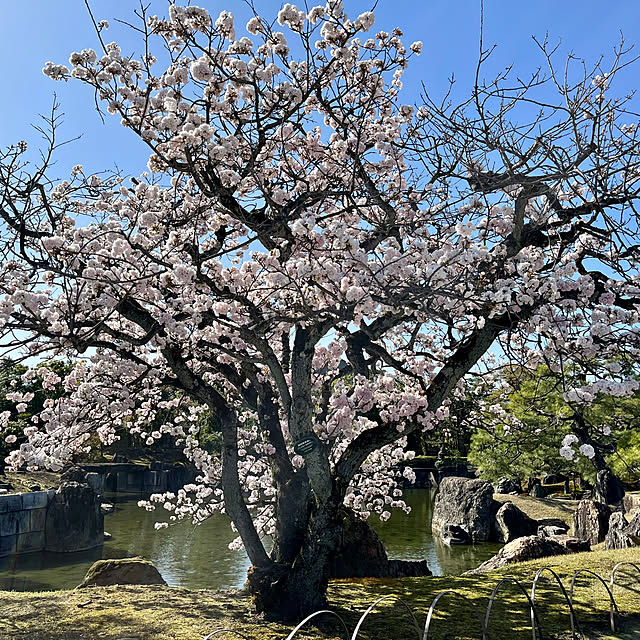 Uraraさんの部屋