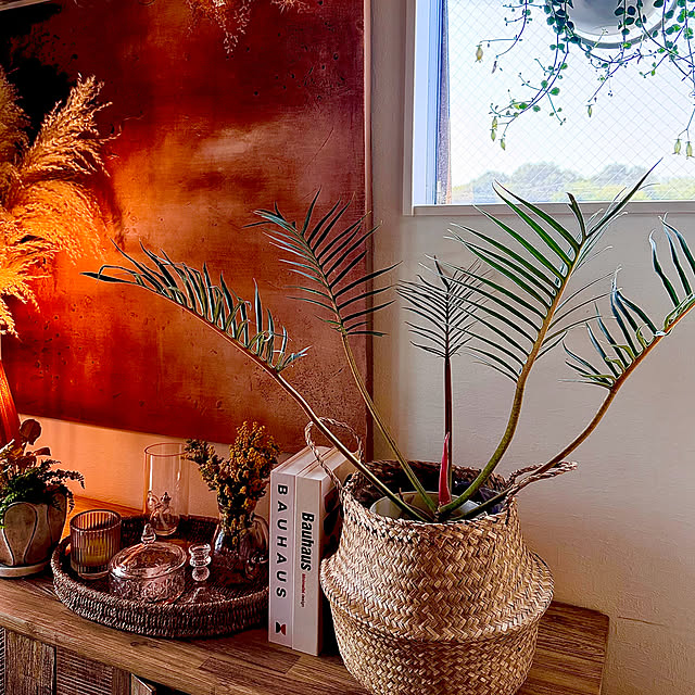 roenさんの実例写真