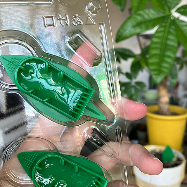 hikaruuさんの部屋