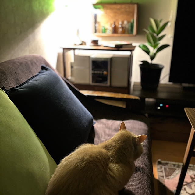 mikan161さんの部屋
