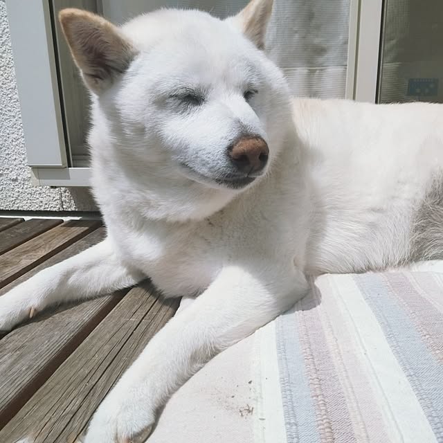 yukinkoさんの部屋