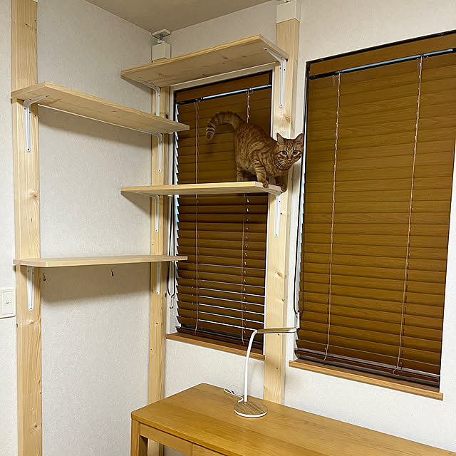 uniuniさんの実例写真