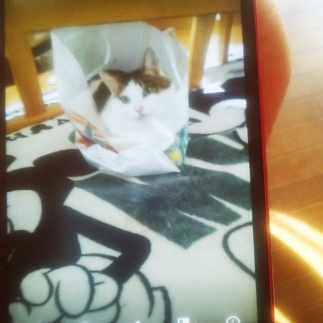 tomopさんの実例写真