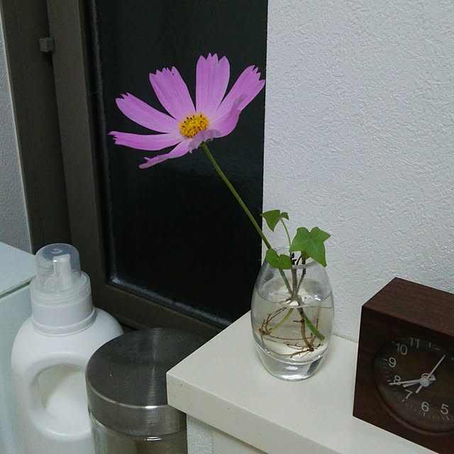 Makikoさんの実例写真