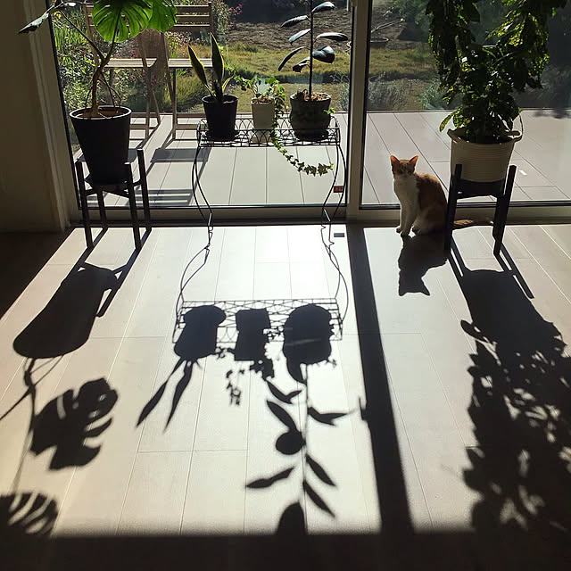 houenさんの実例写真