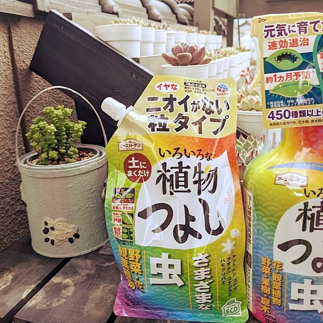 SYさんの部屋