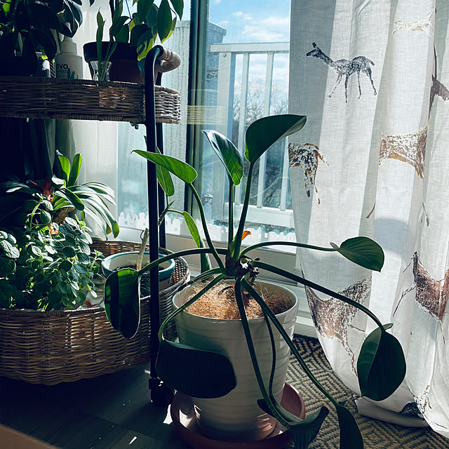 noricoさんの部屋