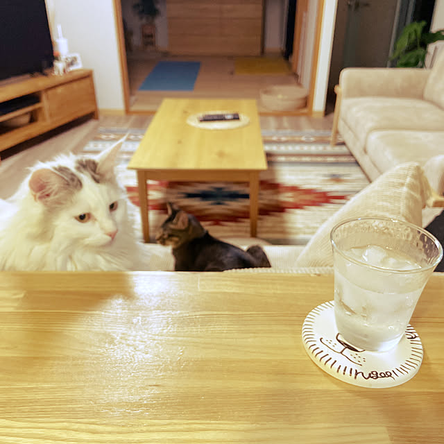 miwaさんの実例写真
