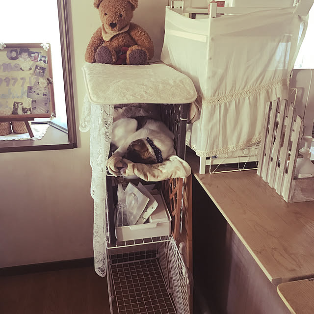 bearさんの実例写真