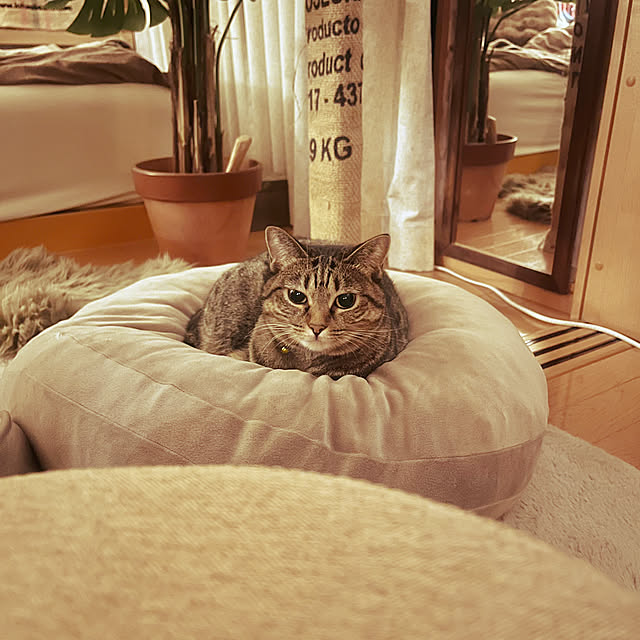 Mさんの実例写真