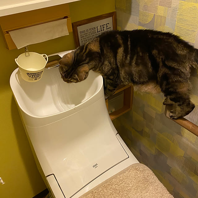 mikomaruさんの実例写真