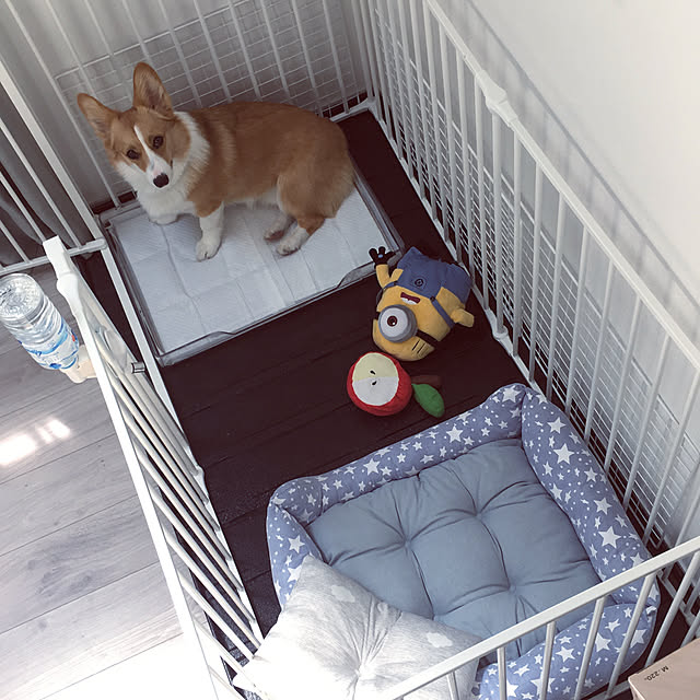 3ayuさんの実例写真