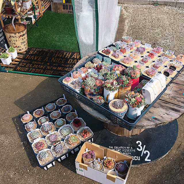 bon-bon-hippieさんの実例写真