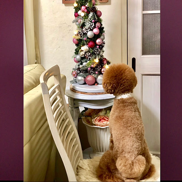 Naomiさんの実例写真