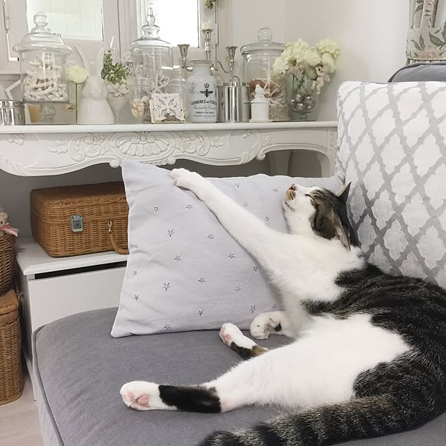 yuchiさんの実例写真
