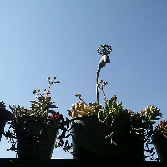 VERANDARJUNさんの実例写真