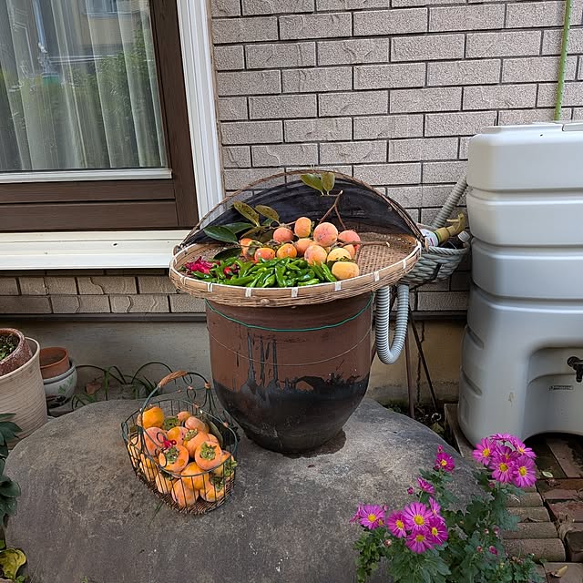 botanさんの実例写真