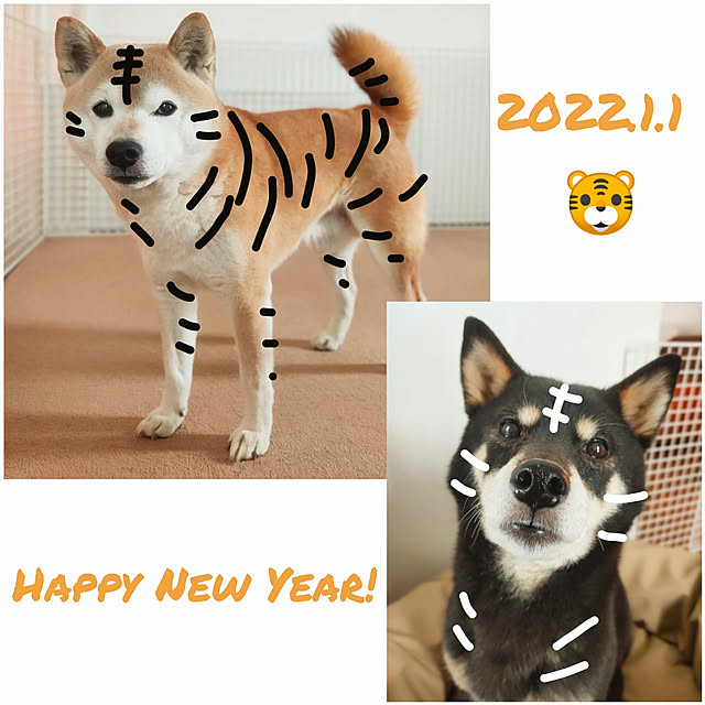 ponhanaさんの実例写真