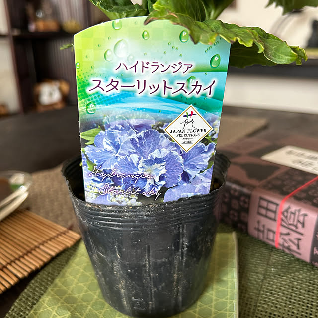 ritsukoさんの部屋