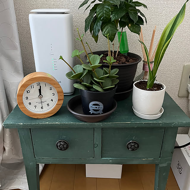 Rionさんの実例写真