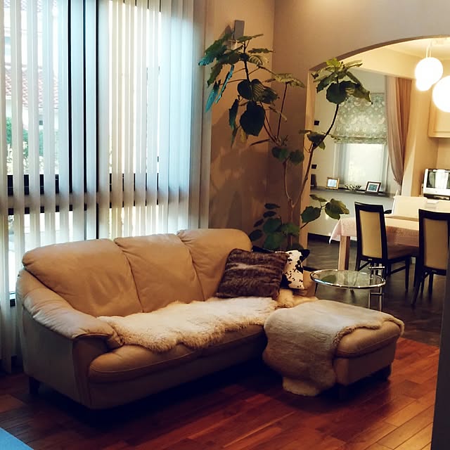 CozyLuceさんの実例写真