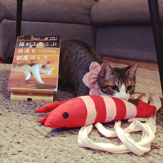 mochicoさんの実例写真