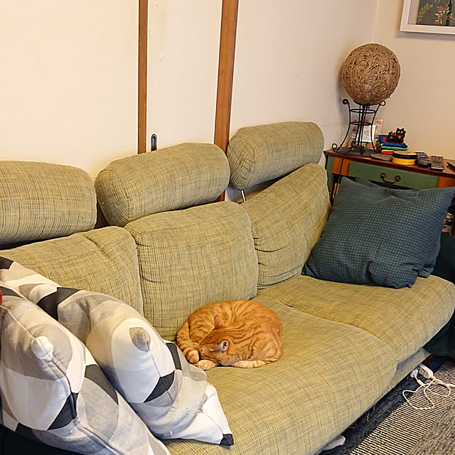 okyosan101さんの実例写真