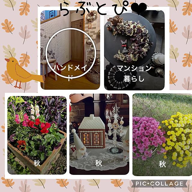 CoCo0617さんの実例写真