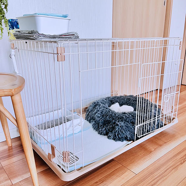 amさんの実例写真