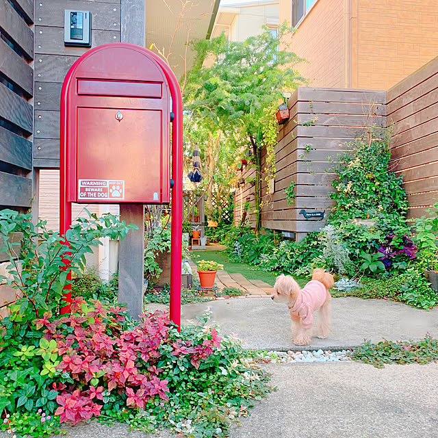 秋色/ナチュラル/犬と暮らす/Ig→risa6100/植物のある暮らし...などのインテリア実例 - 2019-10-28 21:01:54