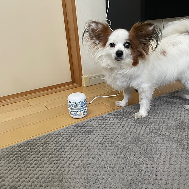 Kさんの実例写真