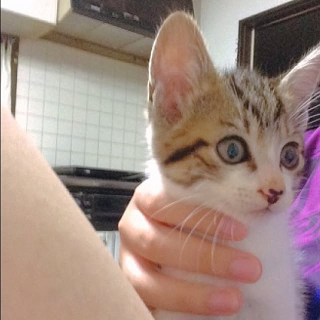 sannbonnnonamiさんの実例写真