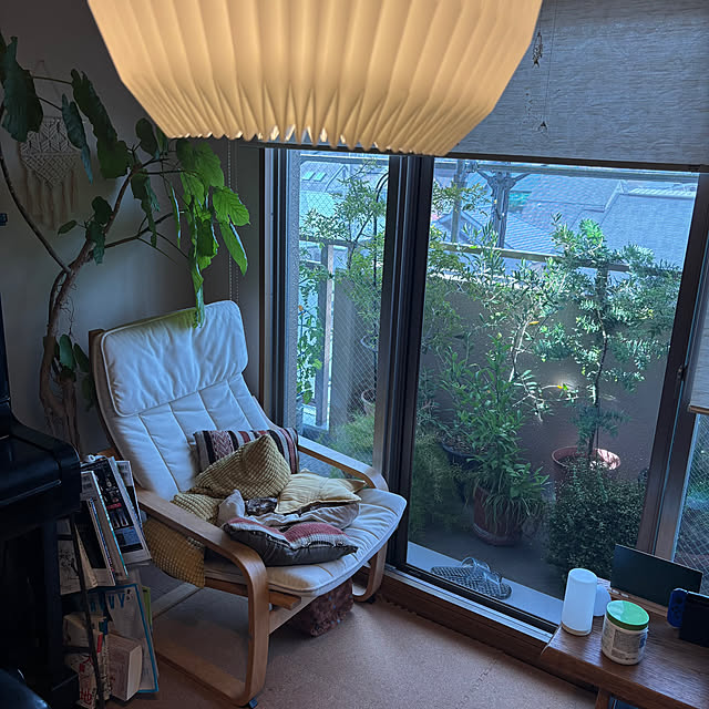 cottoncottonさんの部屋
