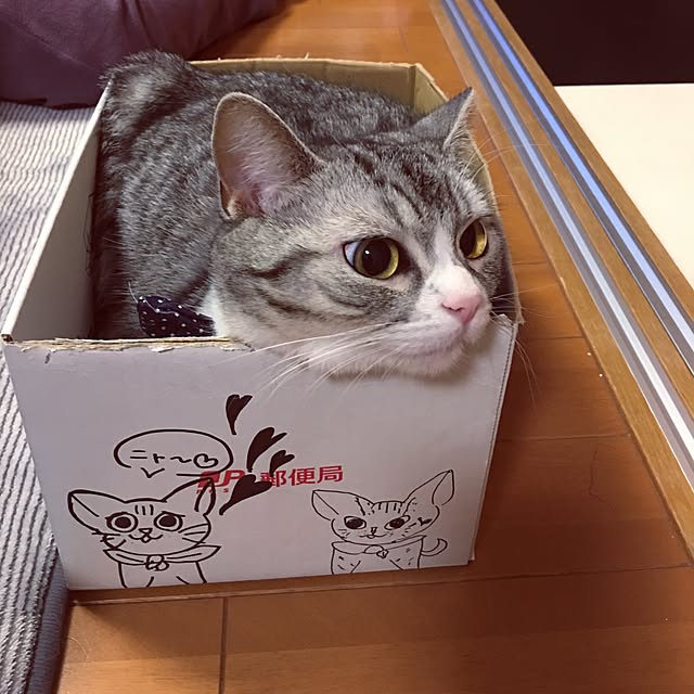 Shojiさんの実例写真