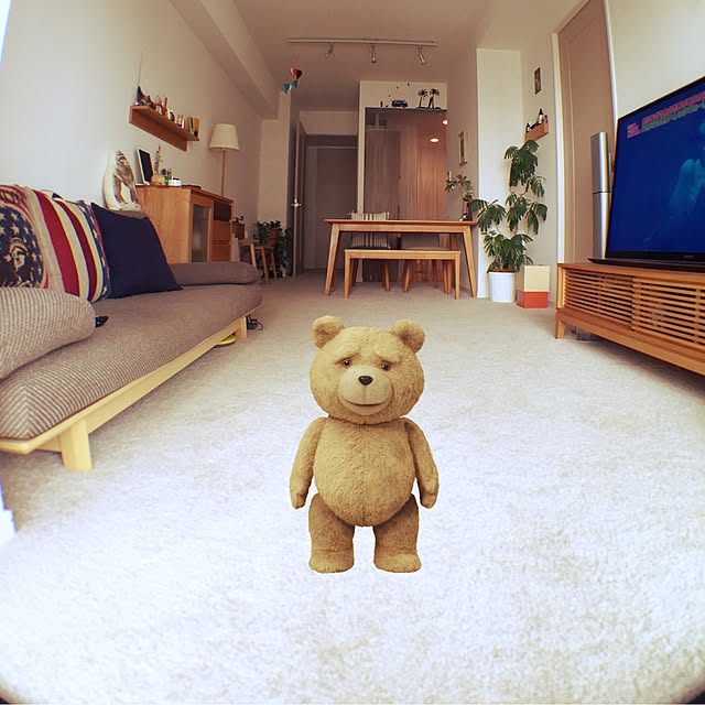 実例写真